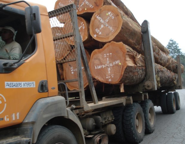 Holztransporter in Gabun
