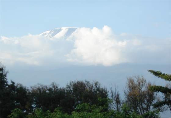 Ausblick auf den Kilimanjaro vom YMCA-Hotel in Moshi