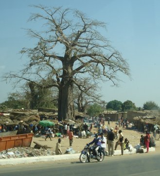 Markt