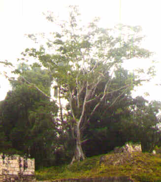 Copan, Honduras