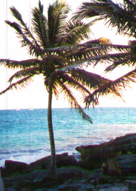 Tulum, Mexico