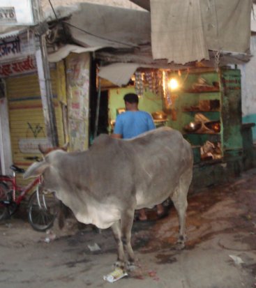 Jodhpur