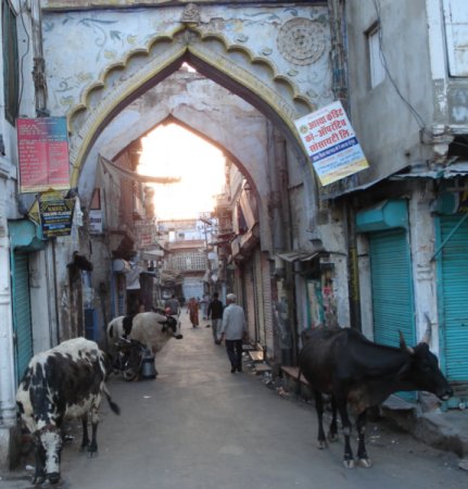 Jodhpur