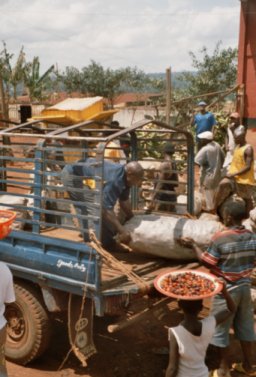 Auf dem Weg nach Bafoussam