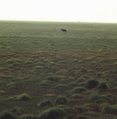 Kasachische Steppe