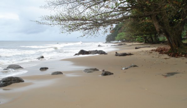Strand / Kribi