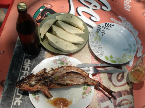 feiner Con-Con-Fisch