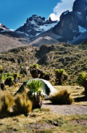 Basecamp