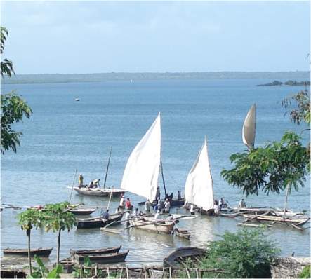 Am Hafen von Tanga