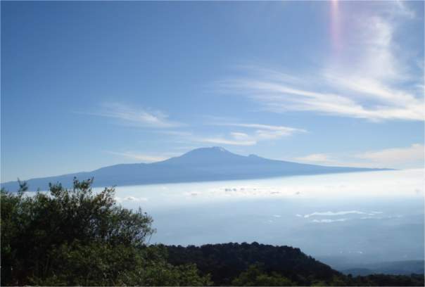 Aussicht auf den Kilimanjaro