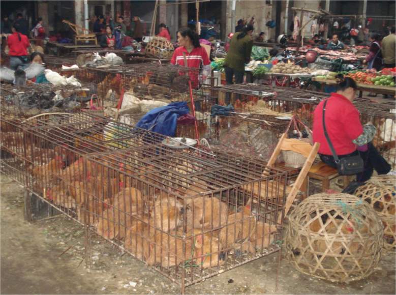 Markt in Yangshou
