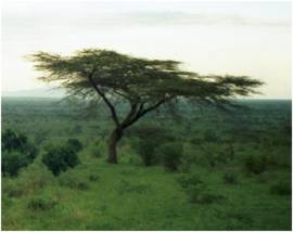 Samburu N.P. Kenia