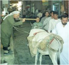 Im Souk von Aleppo / Syrien