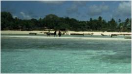 Traumstrand auf Sansibar / Tansania