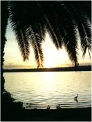 Jinjia / Uganda