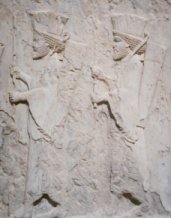 Detailansicht