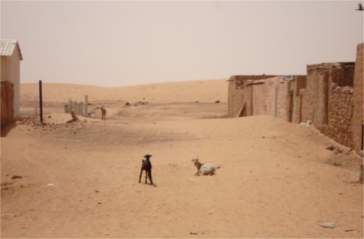 Chingueti
